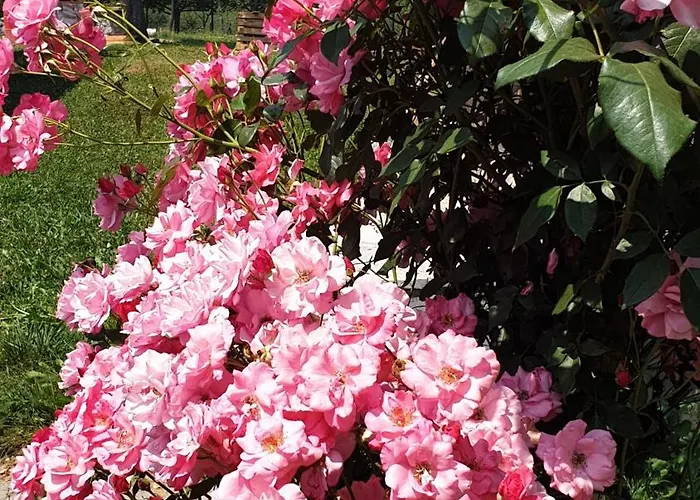 Apartamento Vila Cosovic *