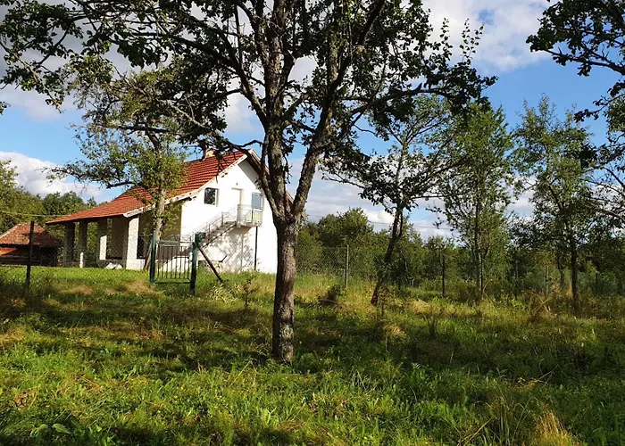 Vila Cosovic Apartamento Citići